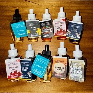 10 BBW Fall Wallflowers🍁